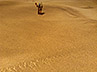 bm063 Battlemat 6x4ft Desert plain 'Sahara' 28mm mimiatures