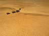 bm063 Battlemat 6x4ft Desert plain 'Sahara' 1/285 (6mm) models