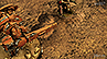 Battlemat ss007 'Frontline' 6x4ft Warhammer 40k