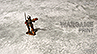28mm miniatures on Battlemat (bm046) "Frozen Lake"