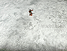 28mm miniatures on Battlemat (bm046) "Frozen Lake"