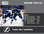 2018/19 Tampa Bay Lightning. Coleco players