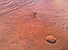 Red Planet Surface (025) 'Martians Wars'