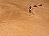 bm063 Battlemat 6x4ft Desert plain 'Sahara' 1/285 (6mm) models
