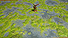 Battlemat (118) "Swamp"