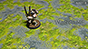 Battlemat (118) "Swamp"