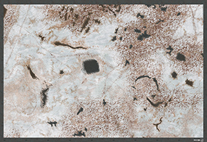 The battlemat toptable wargames Tundra (bm045). A convenient and colourful terrain for playing at favorite Sci-Fi, fantasy and modern wargames...